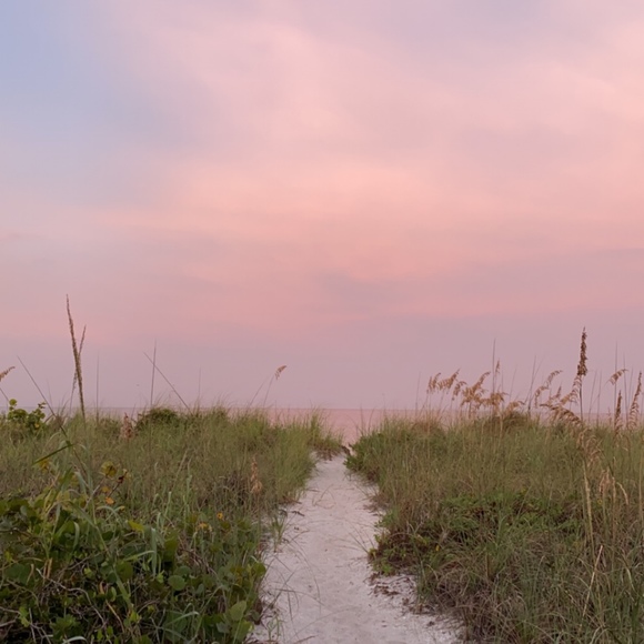 Meet your Posher, Anna - Picture 1 of 1